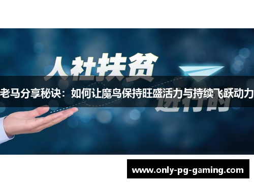 老马分享秘诀：如何让魔鸟保持旺盛活力与持续飞跃动力